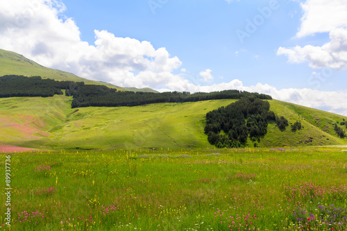 Beautiful mountain landscape on a summer day