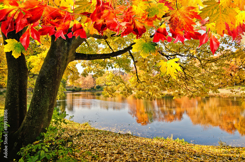Fototapeta Báječný den na podzim u tichého jezera :)