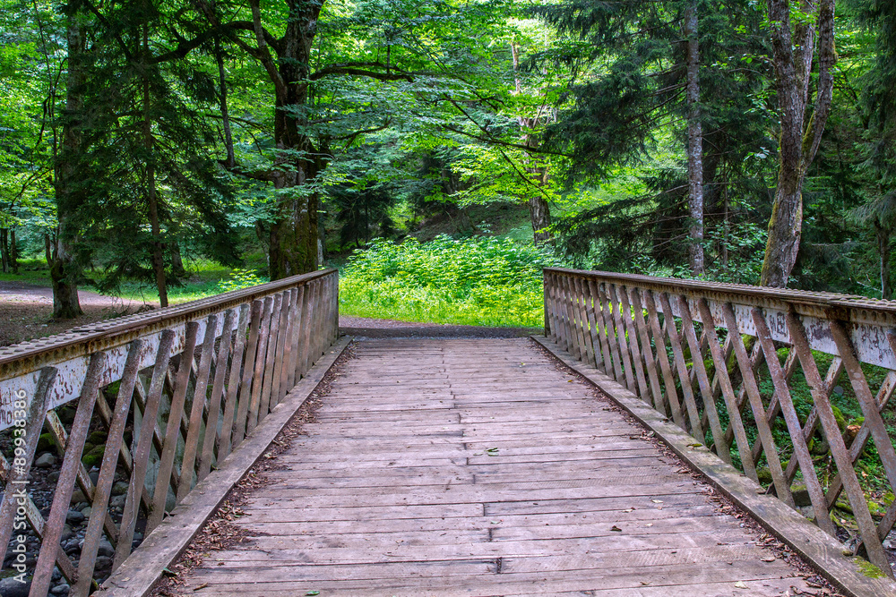 Fototapeta premium Old bridge over the river in the forest