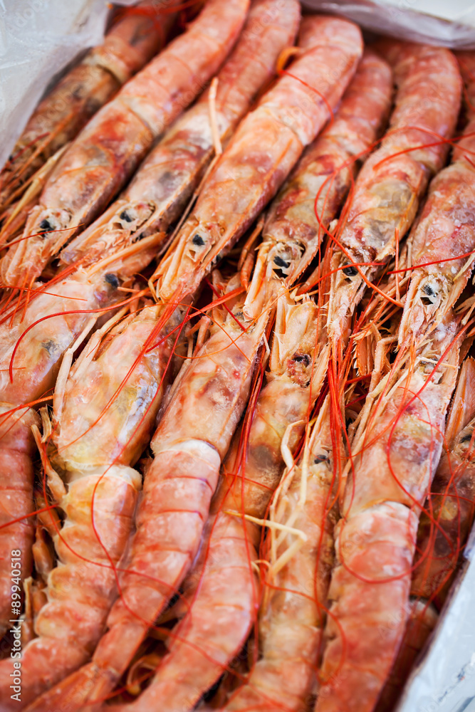 Fresh raw  langoustines