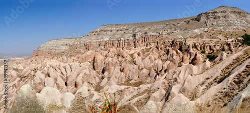 Red Valley and Rose Valley Cave City Valley Panorama in Cappadocia Turkey photo