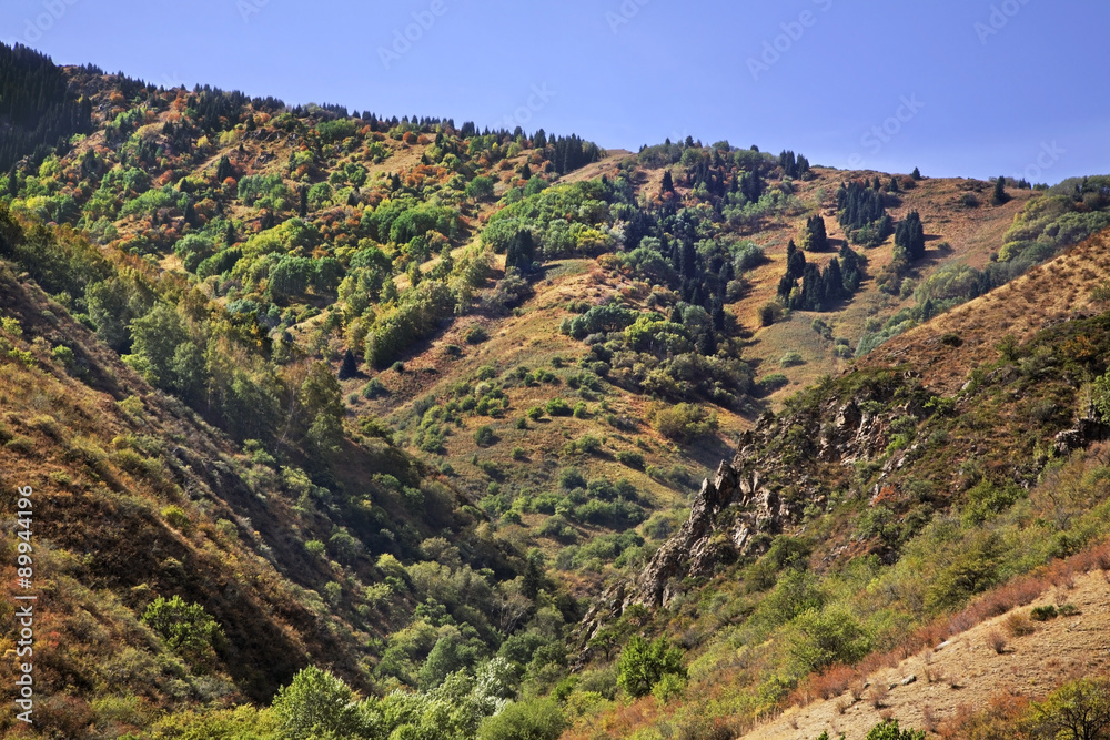 Obraz premium Turgen Gorge. Kazakhstan