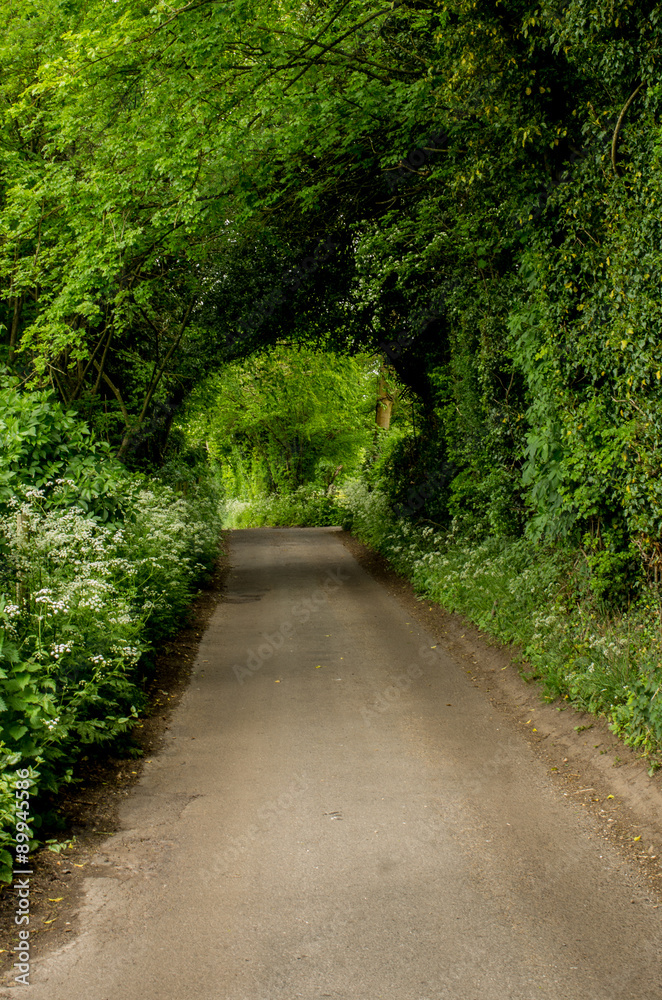 Fototapeta premium drewniany tunel