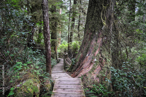 Hiking Tofino NP photo