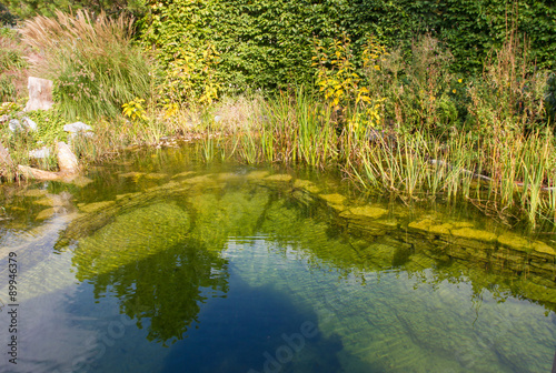 Gartenimpressionen