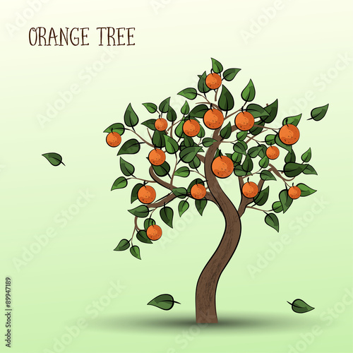 Orange tree with fruits oranges