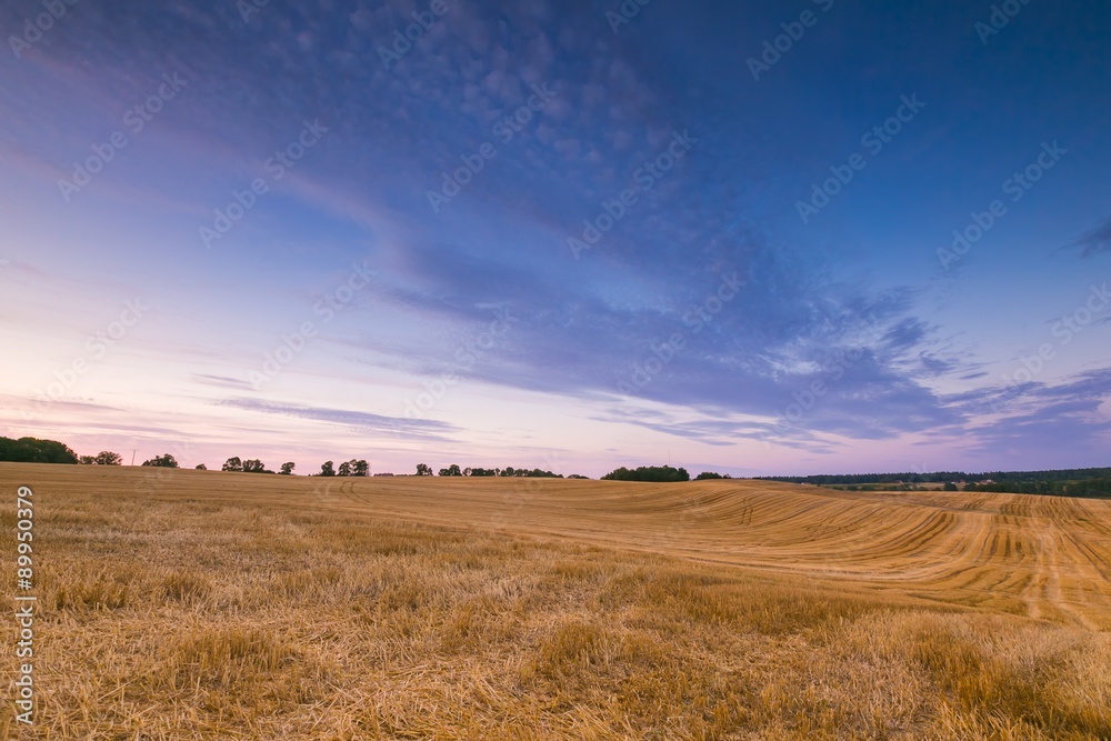 Beautiful sunset sky over calm countryside