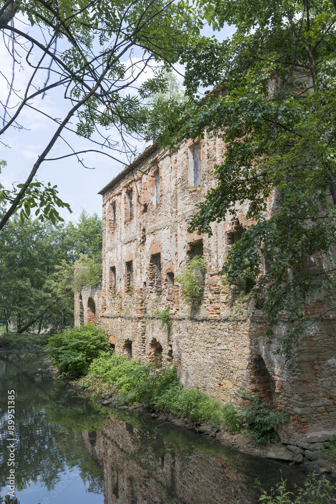The ruins of an ancient castle from XIV century in Pankow. Lower Silesia, Poland