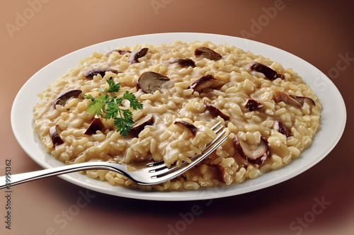 Dish of Mushroom Risotto with Fork
