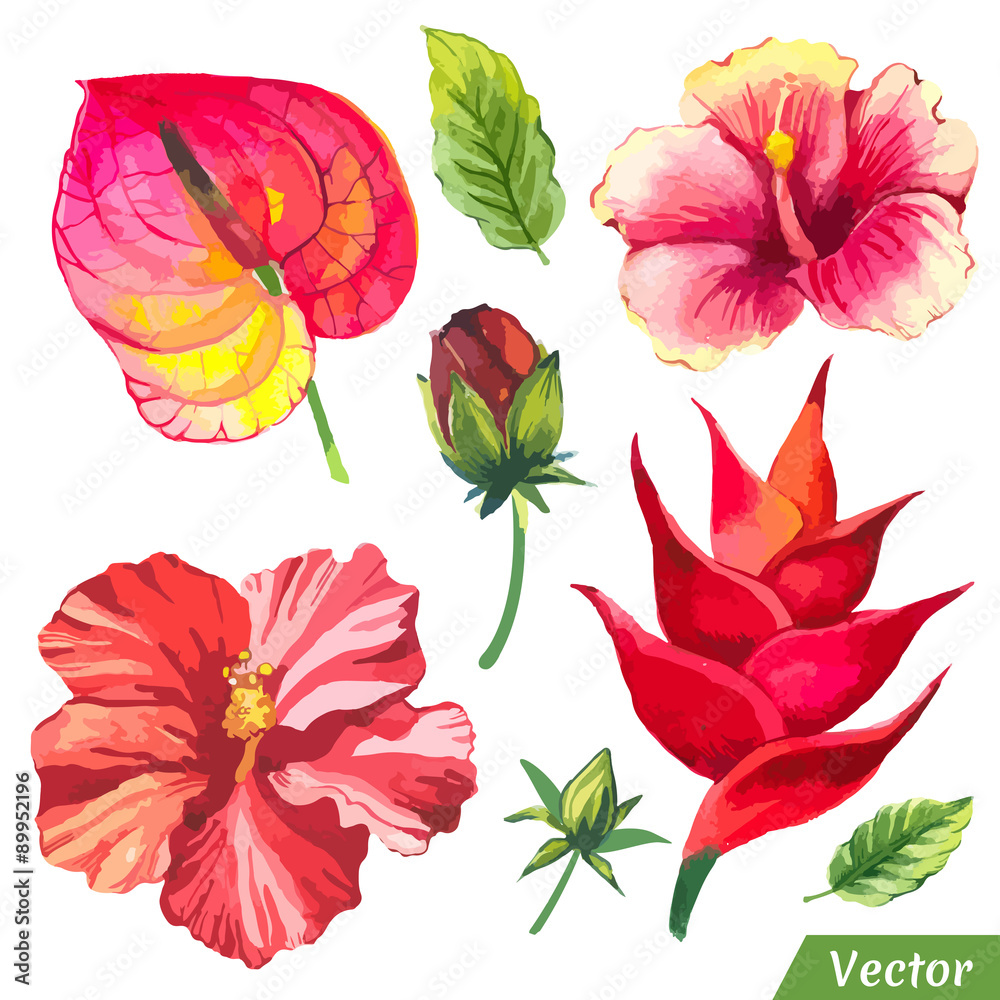 Vector illustration with watercolor flowers.