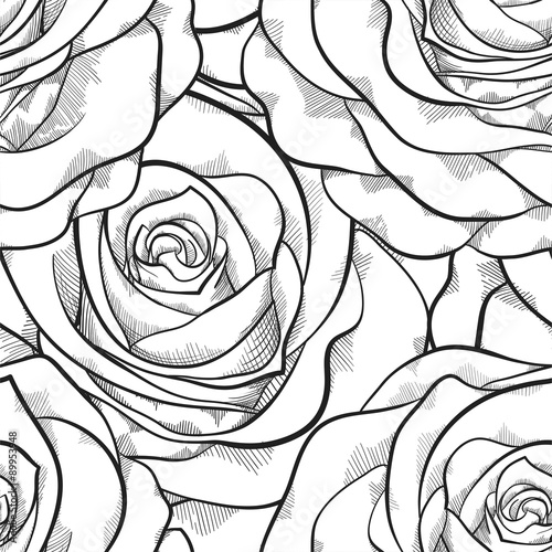 beautiful black and white seamless pattern in roses with contours