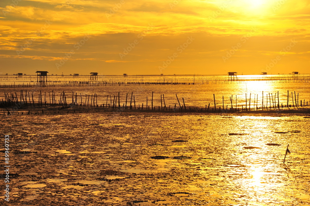 Obraz premium Seaside Landscape at Sunrise