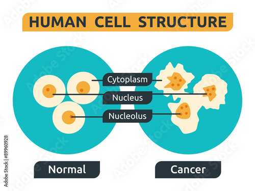Cell