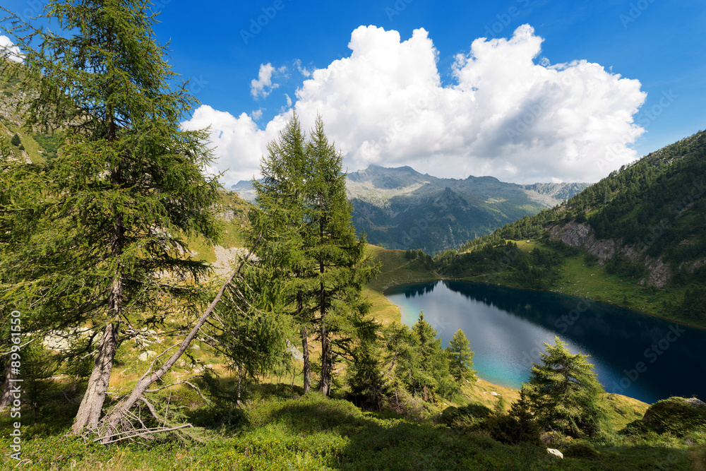 Lago di Campo - Adamello Trento Italy / Lago di Campo (Campo lake) 1944 m. Small beautiful alpine lake in the National Park of Adamello Brenta, Trentino Alto Adige, Italy