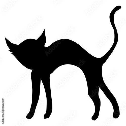 black cat