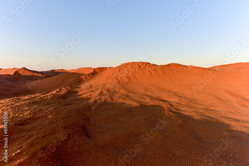 Namib Sand Sea - Namibia