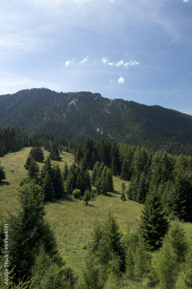 View on the summer Slovakia Mountains High Tatras