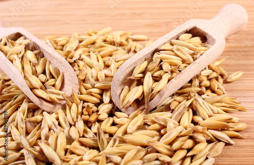 Organic oat grains on wooden spoon, healthy nutrition