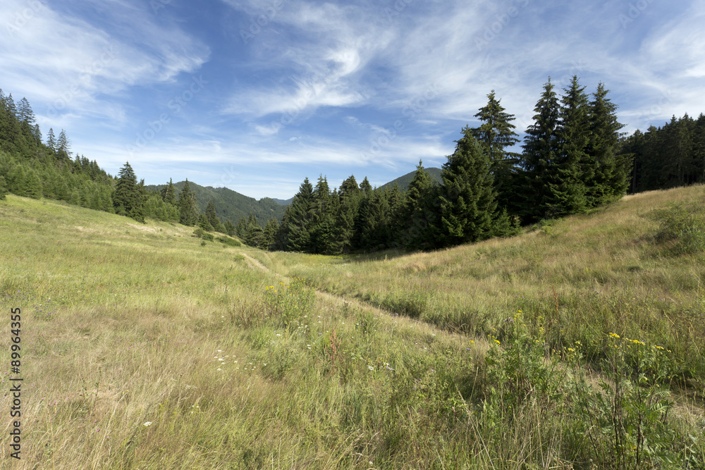View on the summer Slovakia Mountains High Tatras View on the summer Slovakia Mountains High Tatras