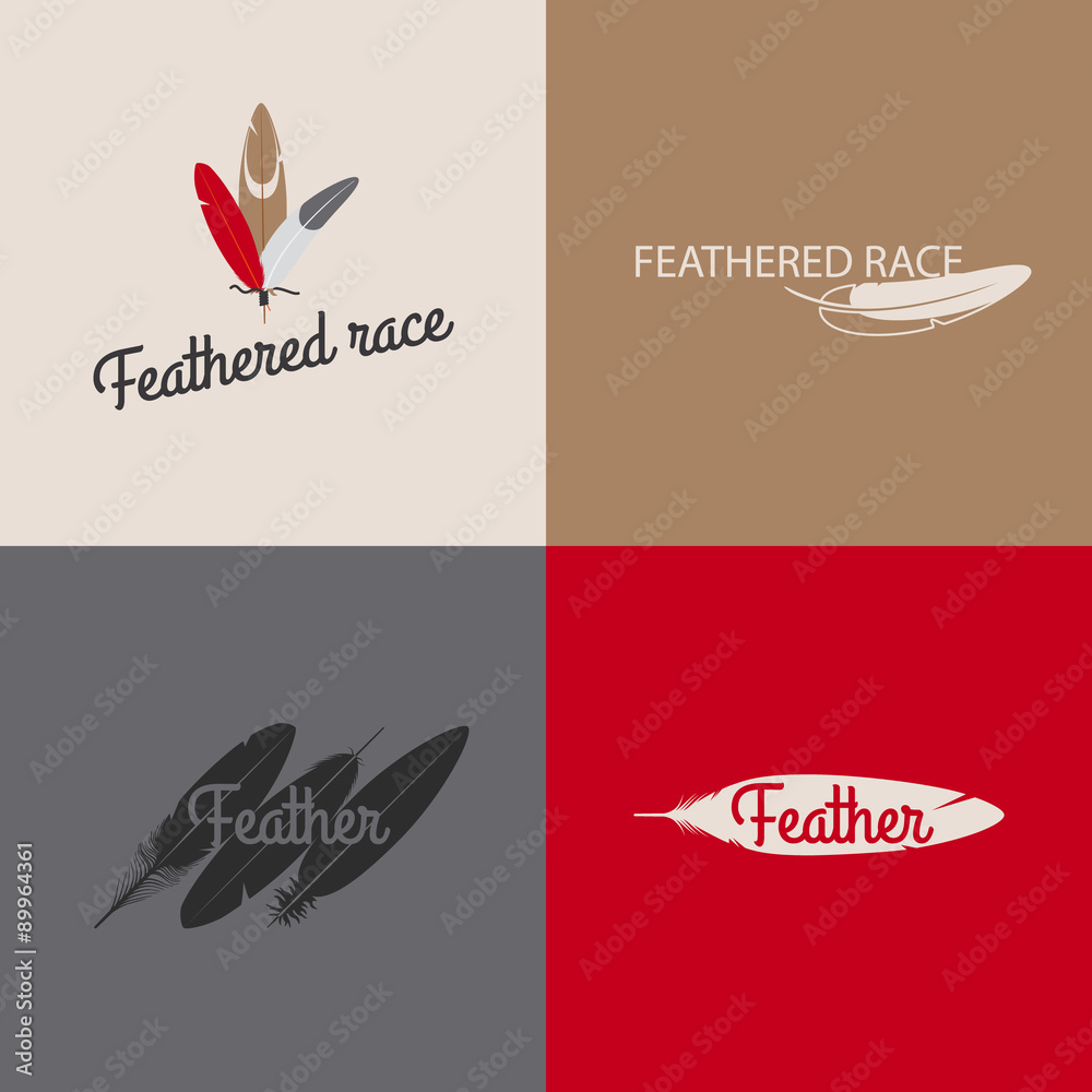 Obraz premium Feather logo templates