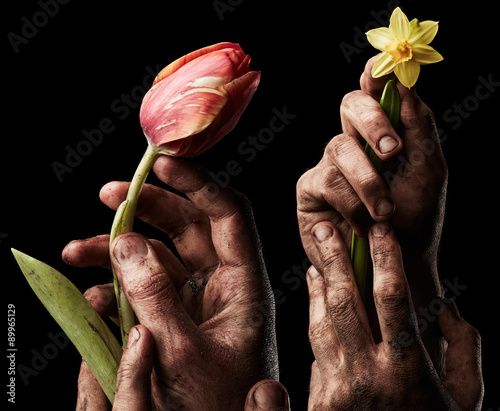 Fototapeta Naklejka Na Ścianę i Meble -  Flowers in male hand