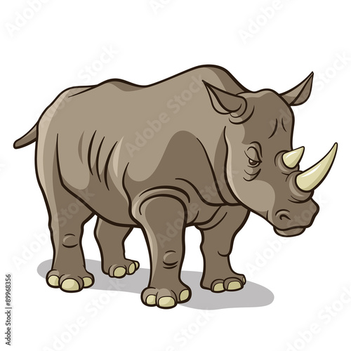 Rhino 001