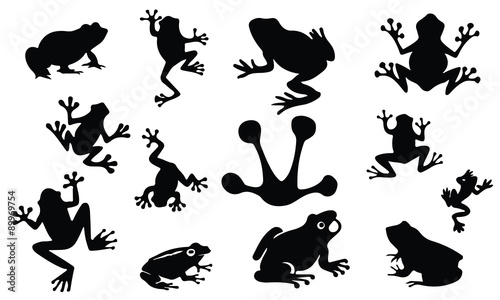 Canvas Print Frog Silhouette, set vector Animals Icons