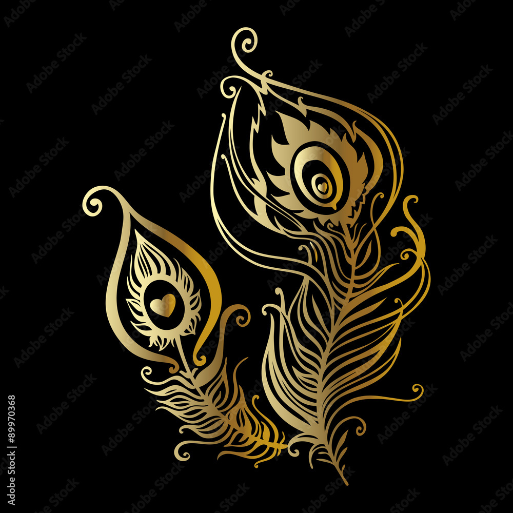 Fototapeta premium Beautiful peacock feathers