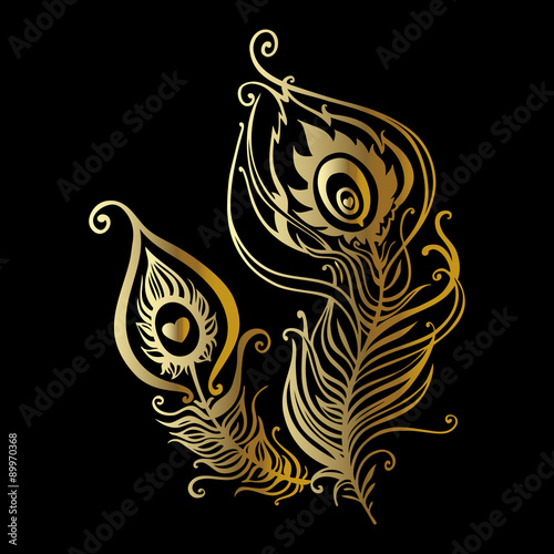 Beautiful peacock feathers