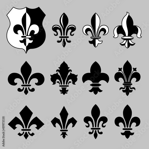 Set of vector heraldic elements - 