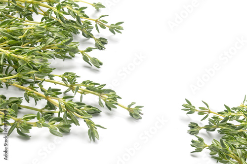 fresh green thyme, Thymus vulgaris, in two corners isolated on a