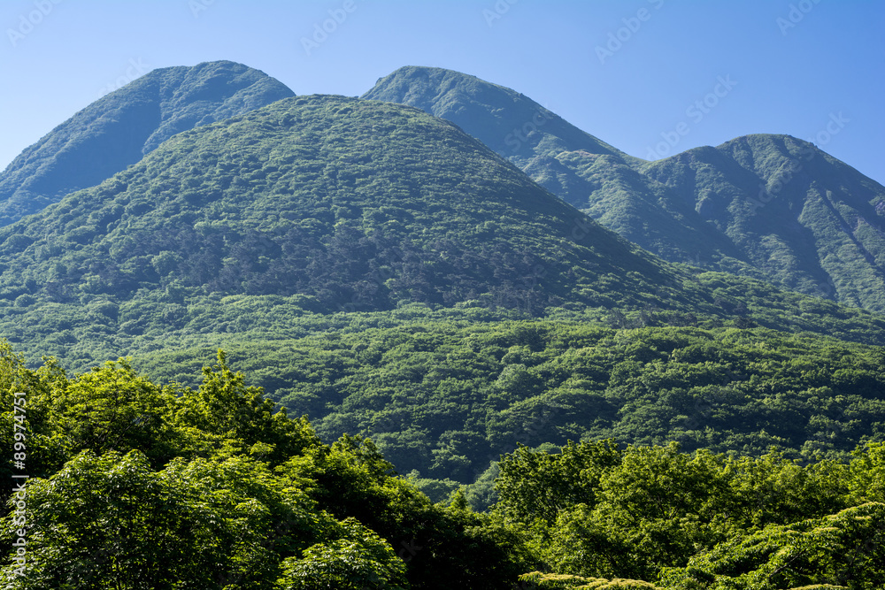 飯田高原の新緑と山