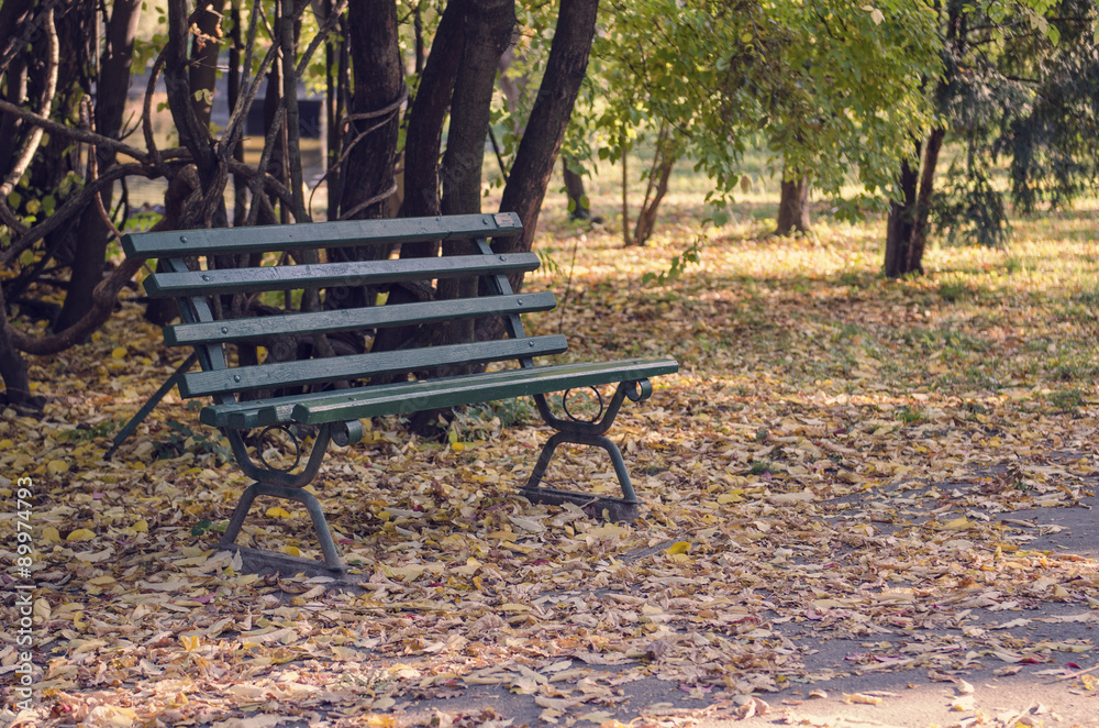Autumn in park Autumn in park