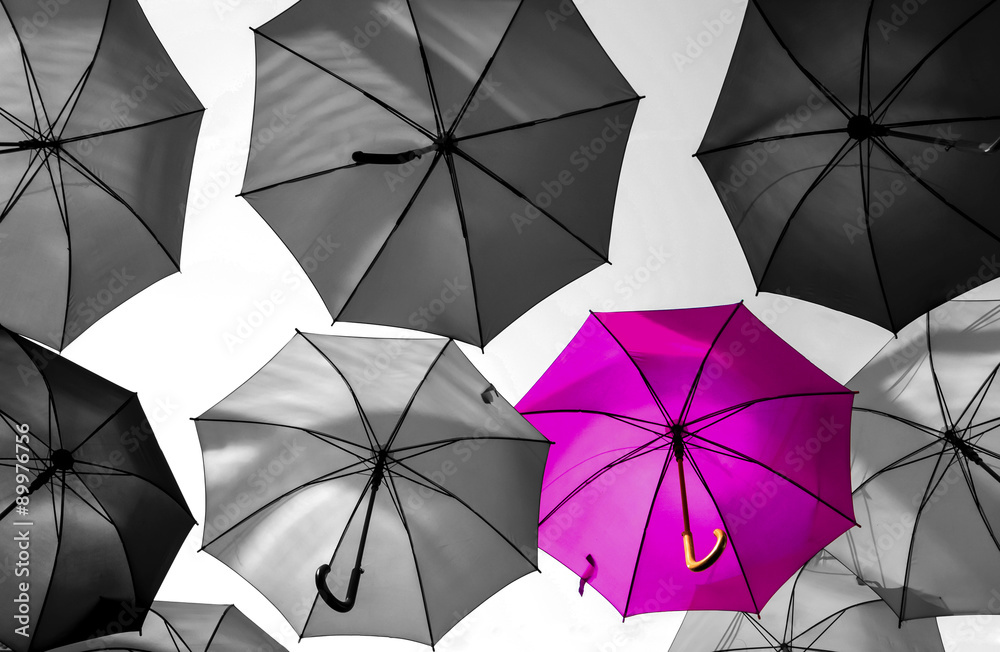 umbrella standing out from the crowd unique concept umbrella standing out from the crowd unique concept