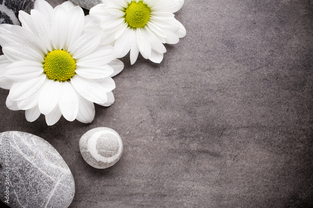Obraz premium Wellness background.
