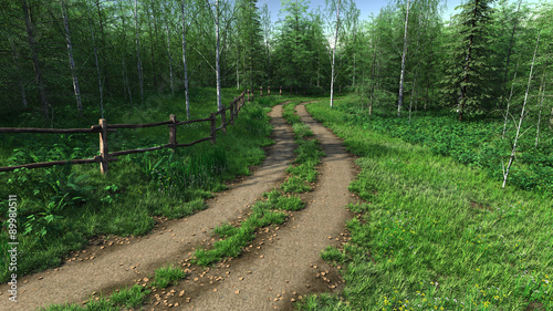 Village road passes throught forest in summer time
