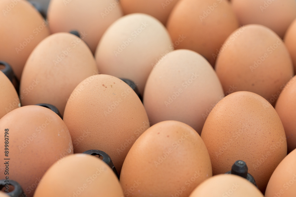 fresh organic eggs from chicken farm agriculture for sale