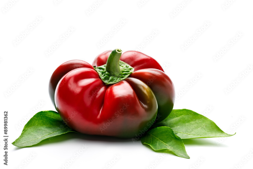Elliptic red pepper with leaves on white Elliptic red pepper with leaves on white
