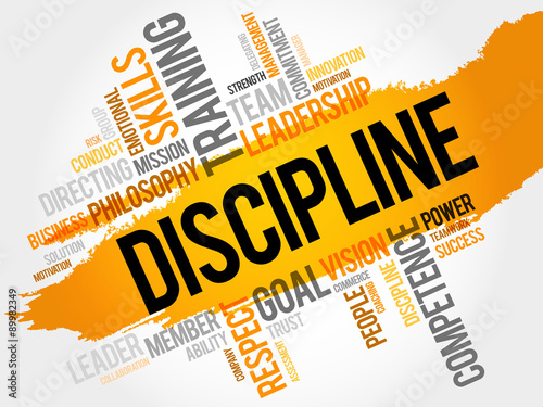 DISCIPLINE word cloud, business concept
