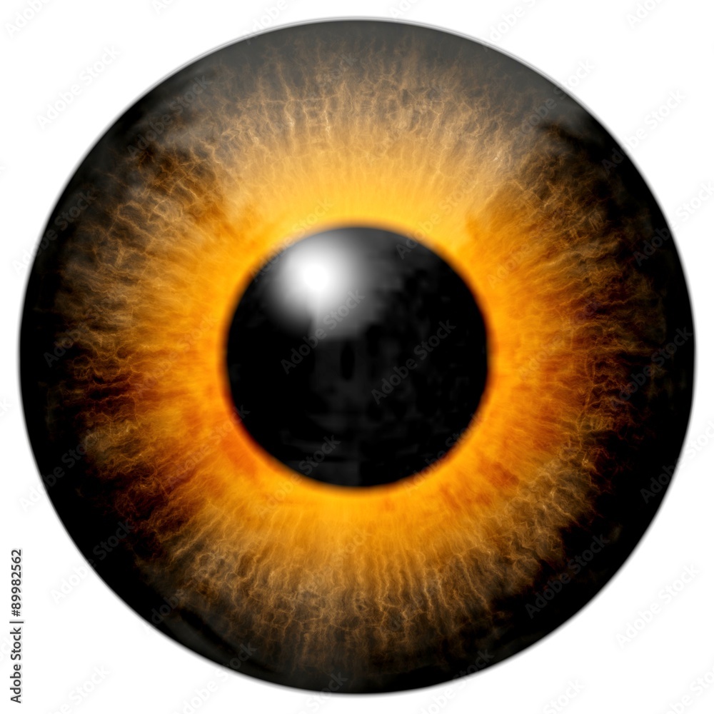 grundfos eye orange