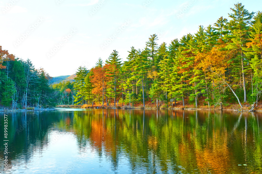 Pond in White Mountain National Forest, New Hampshire Pond in White Mountain National Forest, New Hampshire
