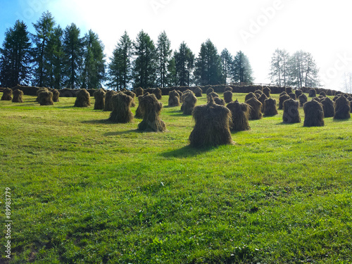 Covoni di Fieno in Val Pusteria. photo