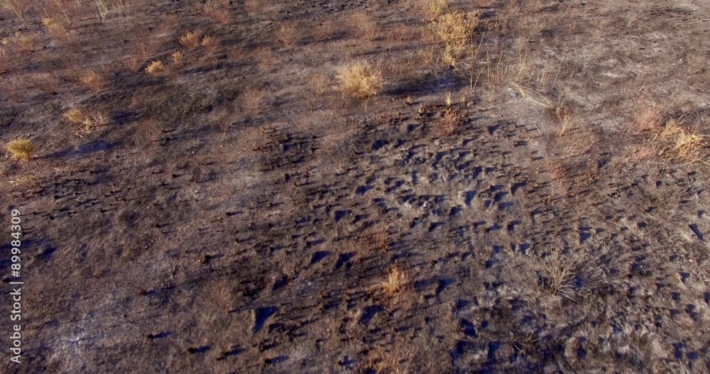 Aerial View. Flight Over Field After Fire Aerial View. Flight Over Field After Fire