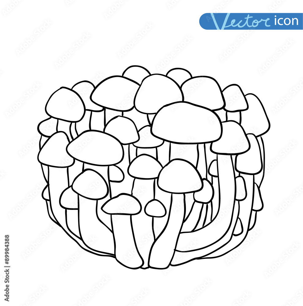 mushrooms set icons, vector illustration. mushrooms set icons, vector illustration.