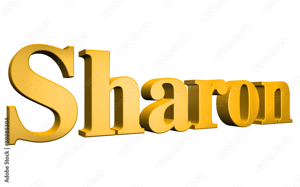 3D Sharon text on white background 3D Sharon text on white background