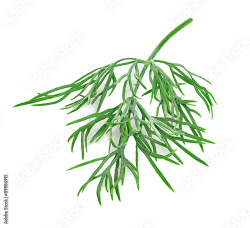 dill isolated on white background © bestphotostudio