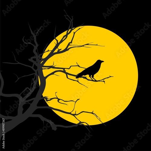 Black crow on the background of a full moon night