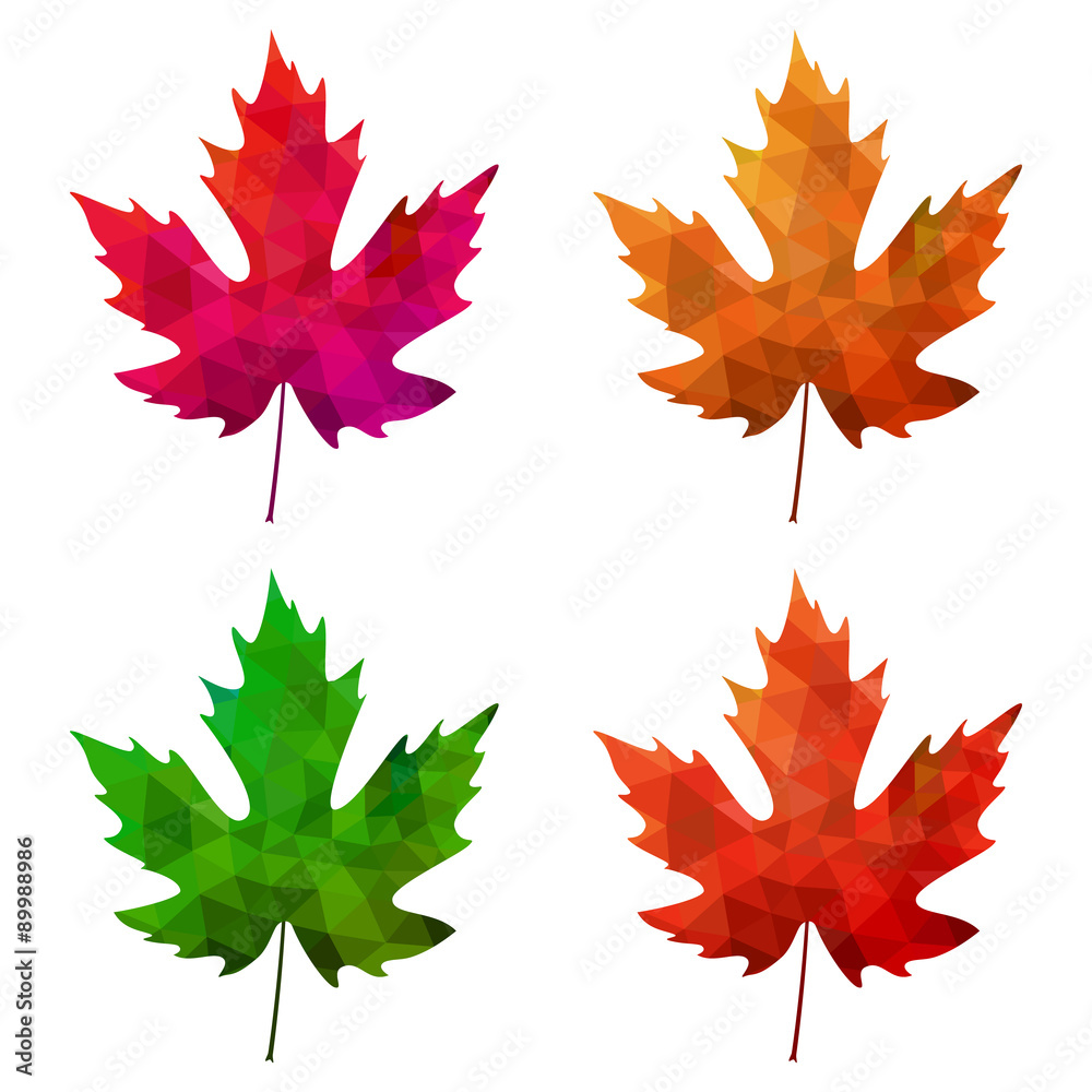 set of vector polygonal maple leaves on white background