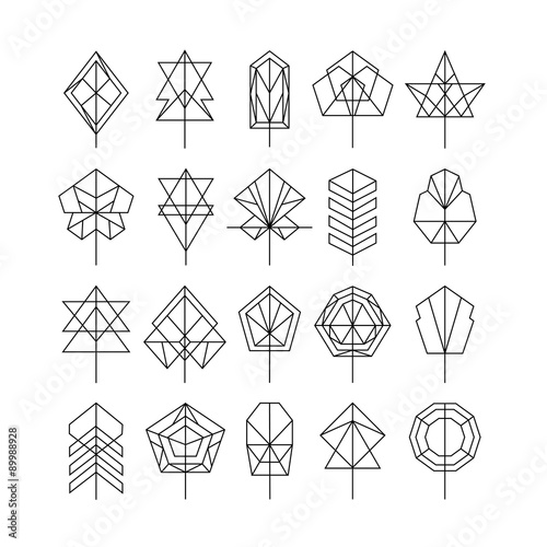 The set of geometric trees