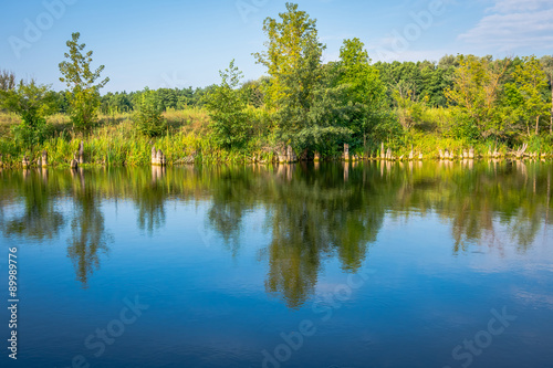 Fototapeta Naklejka Na Ścianę i Meble -  Sunny day on a calm river